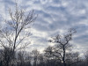 PhotoiPhone_250112_3990dxo