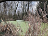 PhotoiPhone_250112_3993dxo