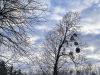 PhotoiPhone_250112_3997dxo