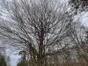 PhotoiPhone_250120_4006dxo