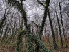 PhotoiPhone_250120_4008dxo
