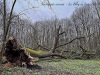 PhotoiPhone_250120_4012dxo