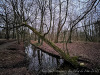 PhotoiPhone_250120_4019dxo
