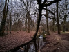 PhotoiPhone_250120_4022dxo