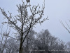 PhotoiPhone_250203_4038dxo