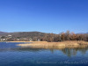 PhotoiPhone_250204_4052dxo