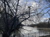 PhotoiPhone_250301_4186dxo