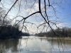 PhotoiPhone_250301_4187dxo