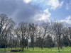 PhotoiPhone_250314_4260dxo