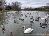 PhotoiPhone_250101_3926dxo