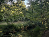 PhotoiPhone_250712_4896dxo