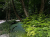 PhotoiPhone_250714_4921dxo