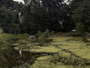 PhotoiPhone_250714_4922dxo
