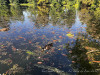 PhotoiPhone_250806_5056dxo1