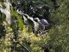 PhotoiPhone_250806_5090dxo1