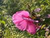 PhotoiPhone_250806_5070dxo1