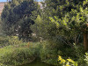PhotoiPhone_250808_5119dxo1