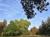 PhotoiPhone_250814_5170dxo1