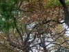 DSC01628dxo1