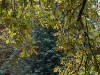 DSC01630dxo1