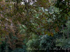 DSC01631dxo1