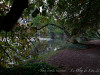 DSC01635dxo1