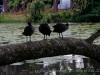 DSC01638dxo1