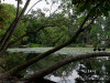 DSC01639dxo1