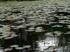 DSC01641dxo1
