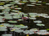 DSC01645dxo1