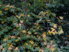 DSC01647dxo1