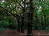 DSC01650dxo1