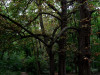 DSC01651dxo1