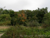 DSC01653dxo1