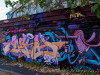 DSC01674dxo1