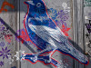 DSC01735dxo1
