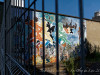DSC01767dxo1