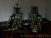 DSC01914dxo1