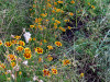 DSC02023fdxo