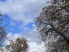 PhotoiPhone_250915_5506dxo