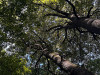 PhotoiPhone_250915_5513dxo