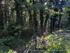 PhotoiPhone_250915_5516dxo