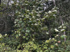 PhotoiPhone_250915_5522dxo