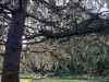 PhotoiPhone_250915_5528dxo