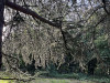 PhotoiPhone_250915_5529dxo
