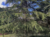PhotoiPhone_250915_5532dxo