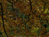 DSC02113dxo