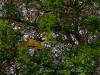 DSC02121dxo