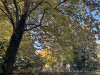 PhotoiPhone_251017_5666dxo