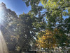 PhotoiPhone_251017_5667dxo
